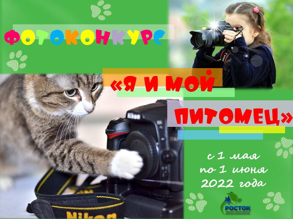 «НАШИ ДРУЗЬЯ ЛОХМАТЫЕ…»: фотоконкурс для детей