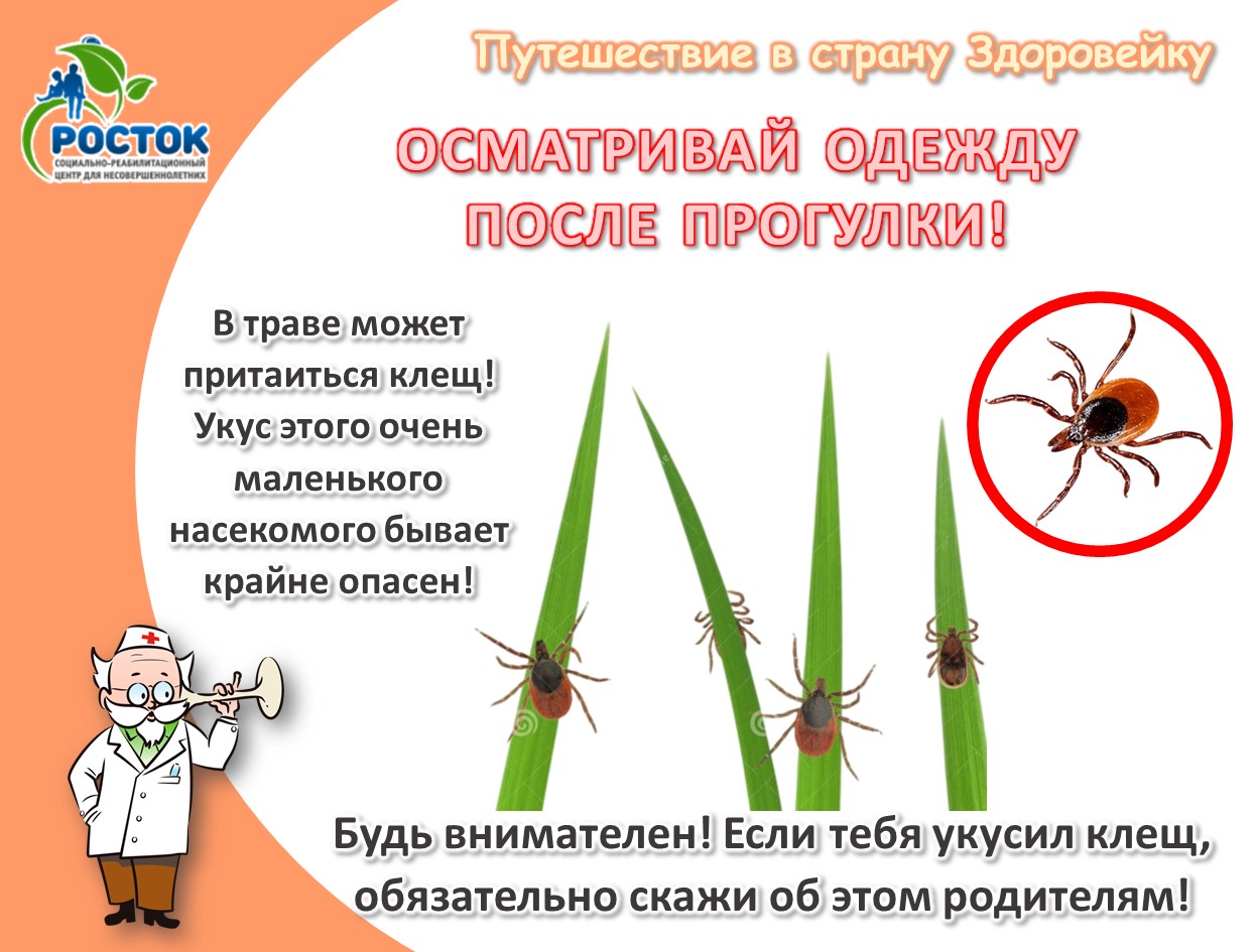 ПУТЕШЕСТВИЕ В СТРАНУ ЗДОРОВЕЙКУ!