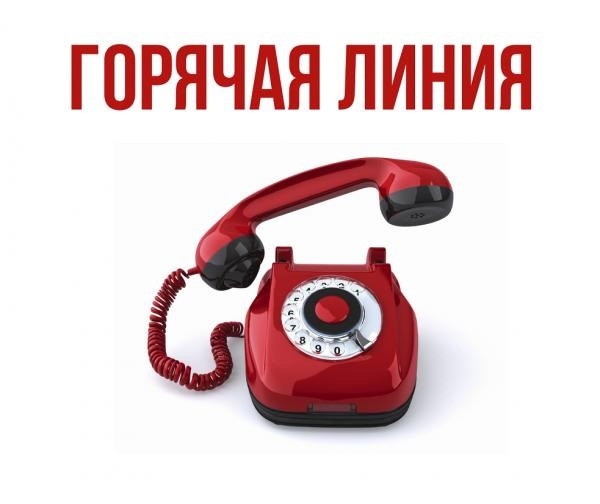 Почти 34 тысячи звонков поступило на горячую линию Департамента соцзащиты по вопросам организации отдыха детей и их оздоровления в 2022 году