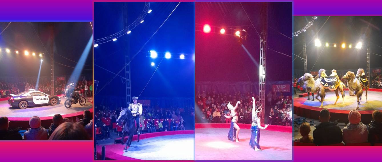 ВОЛШЕБНЫЙ ЦИРК!