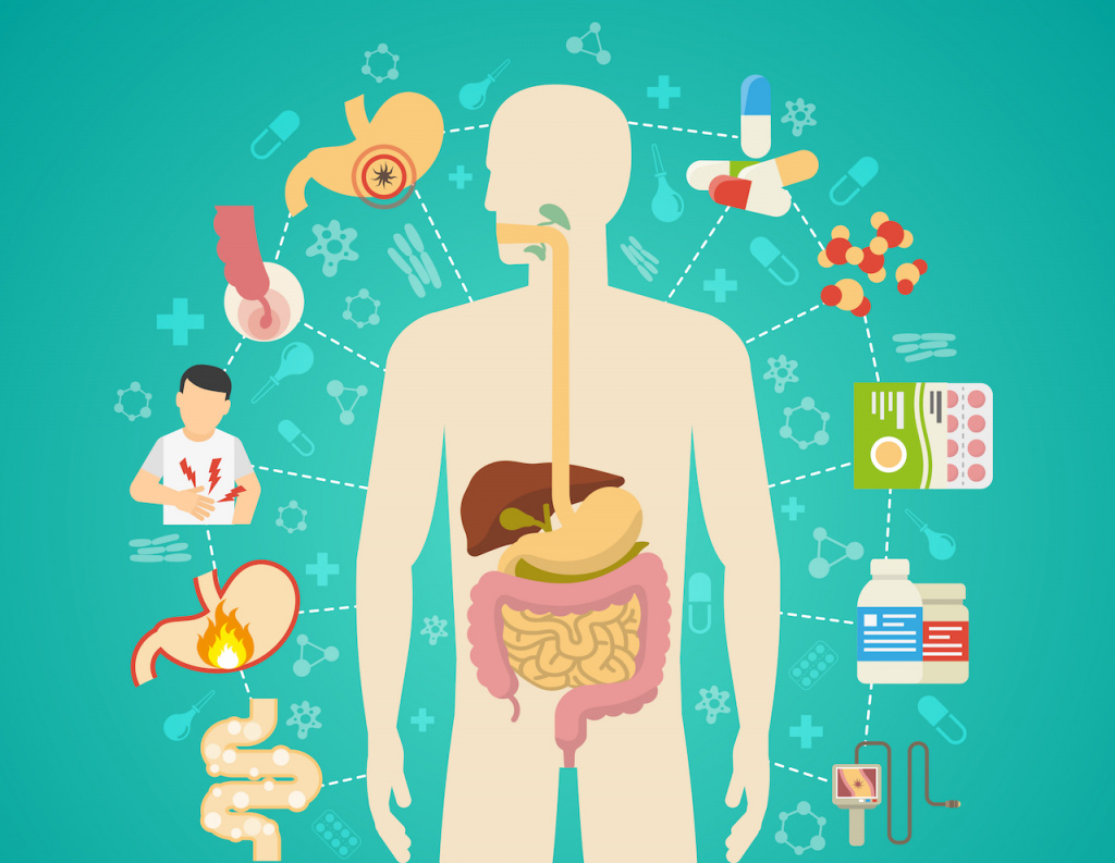 ПРОФИЛАКТИКА ЗАБОЛЕВАНИЙ ПИЩЕВАРИТЕЛЬНОЙ СИСТЕМЫ