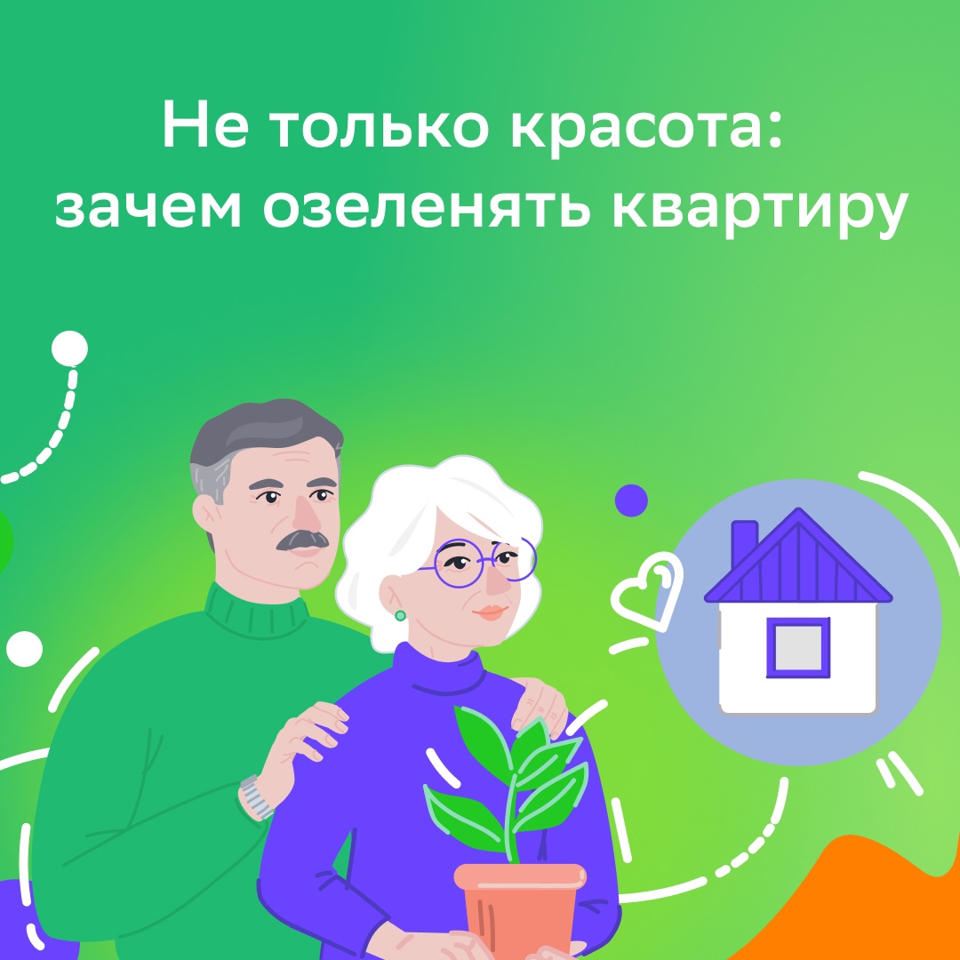 КОМНАТНЫЕ РАСТЕНИЯ УЛУЧШАЮТ НАШУ ЖИЗНЬ