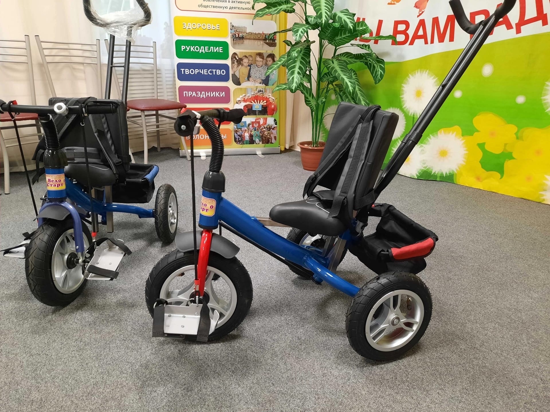 Прокат реабилитационной техники в комплексных центрах социального обслуживания Вологодской области