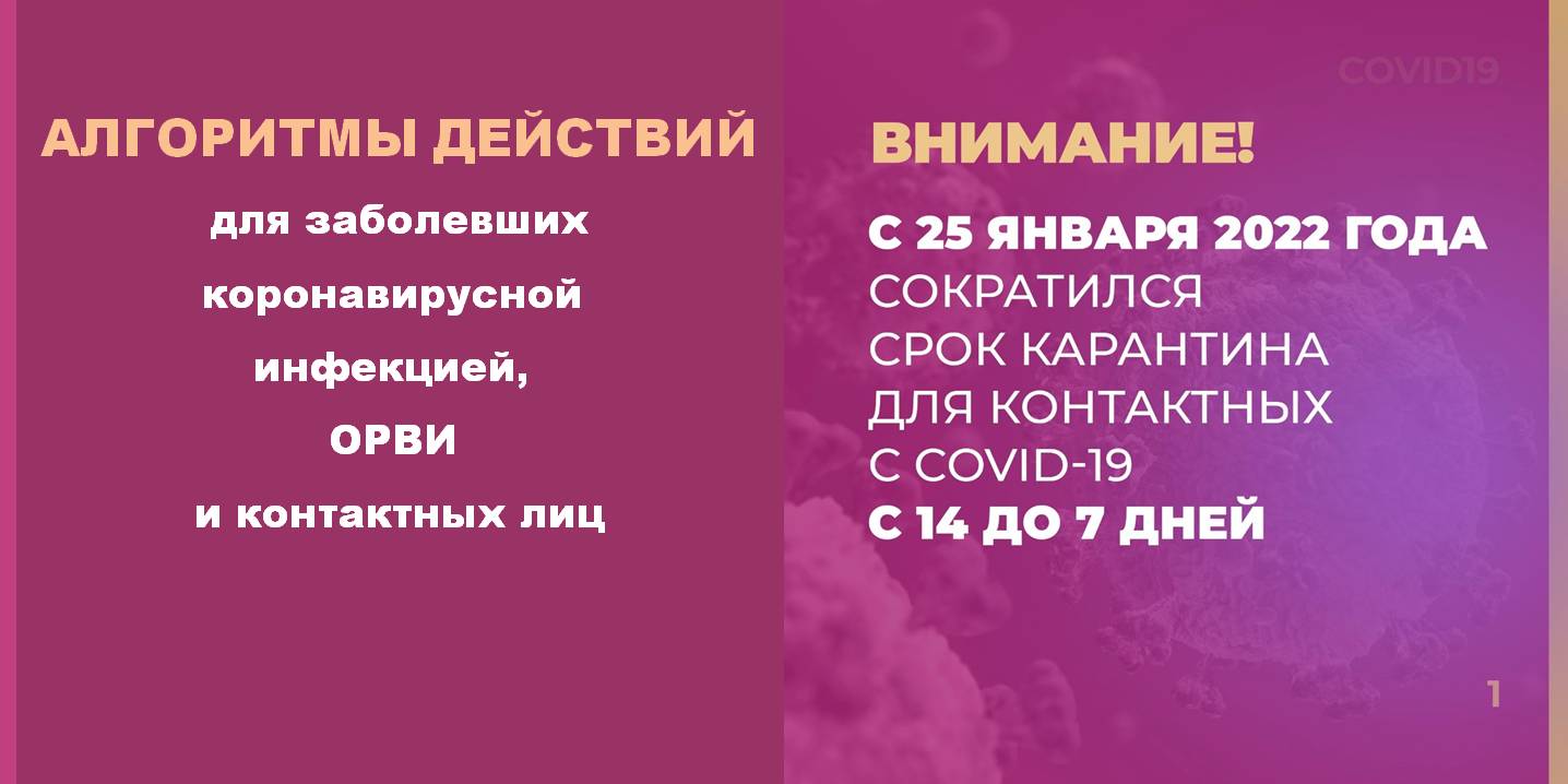 АЛГОРИТМЫ ДЕЙСТВИЙ для заболевших коронавирусной инфекцией, ОРВИ и контактных лиц