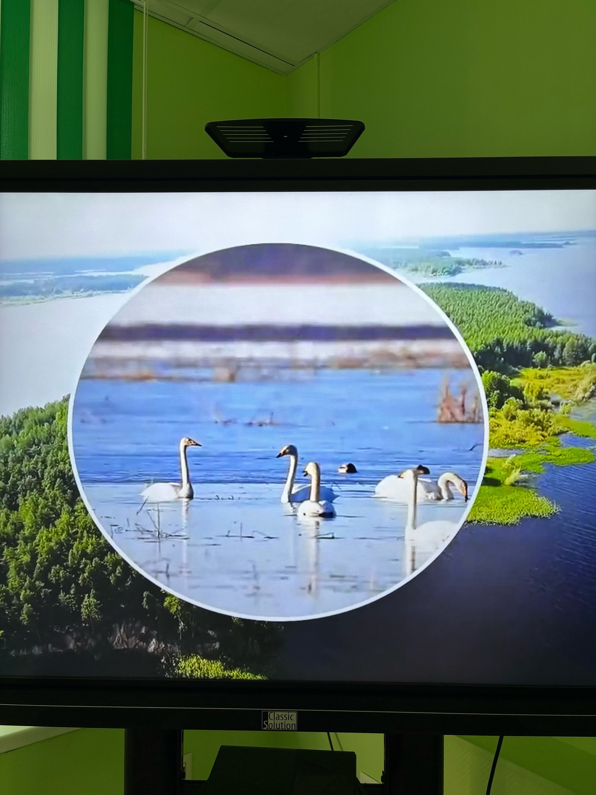 ВПЕЧАТЛЕНИЯ ВОСПИТАННИКОВ ОТ ПОЕЗДКИ В ДАРВИНСКИЙ ЗАПОВЕДНИК