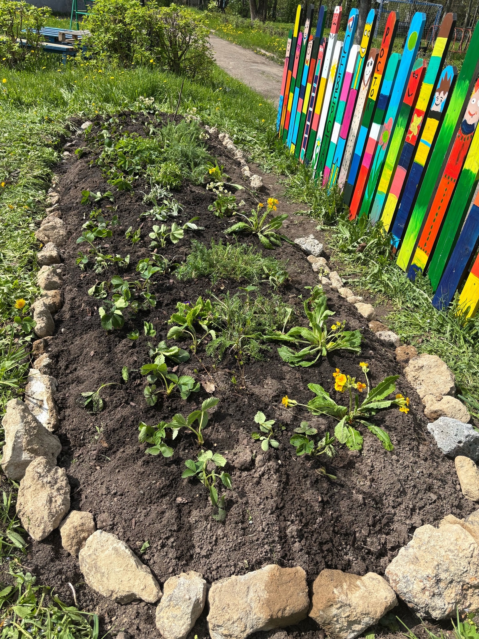 «ГРЯДКА ДОБРА» РАСЦВЕТАЕТ БЛАГОДАРЯ ЗАБОТЛИВЫМ РУКАМ!