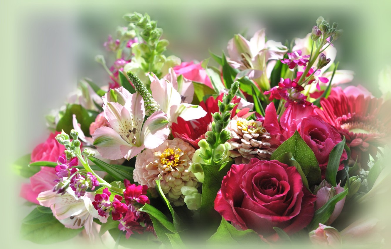 «ВАША РАБОТА – ЛЮБОВЬ И ЗАБОТА!»