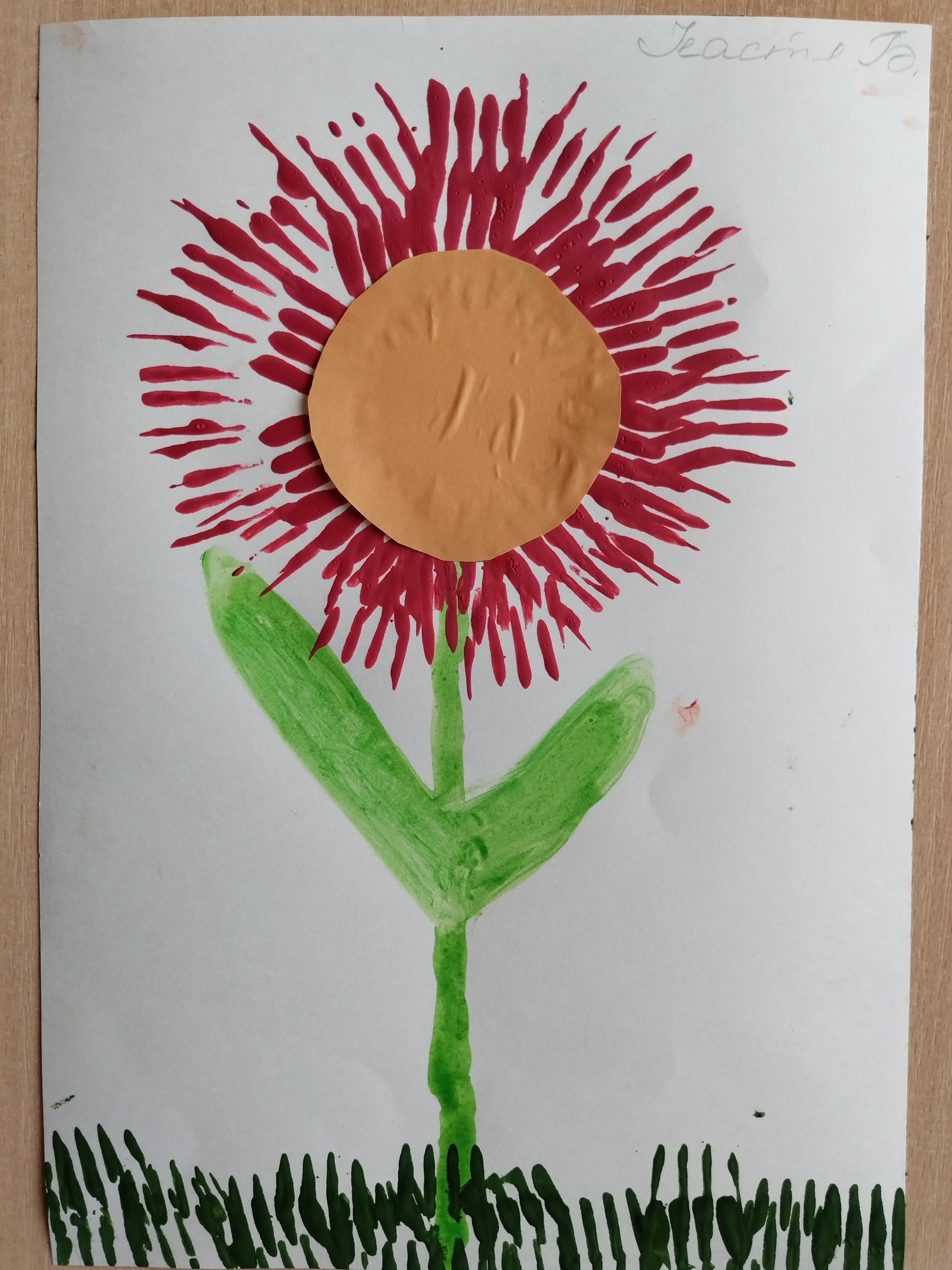 А У НАС РАСЦВЕЛИ ЧУДО-ЦВЕТЫ!