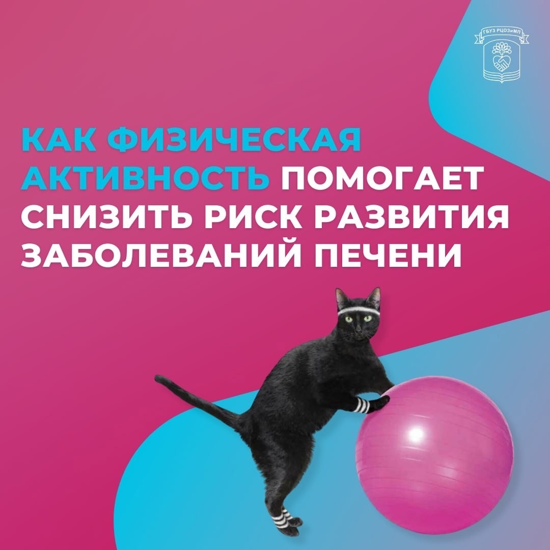 ФИЗИЧЕСКАЯ АКТИВНОСТЬ СОХРАНЯЕТ ЗДОРОВЬЕ ПЕЧЕНИ