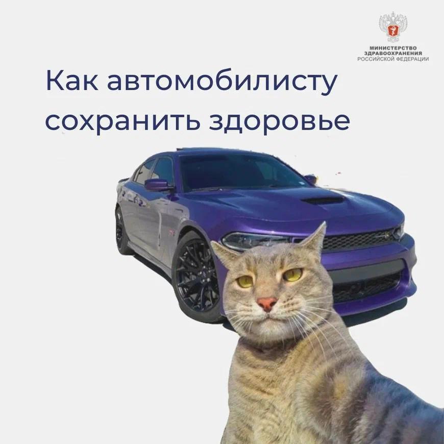 КАК СОХРАНИТЬ ЗДОРОВЬЕ ЗА РУЛЕМ?