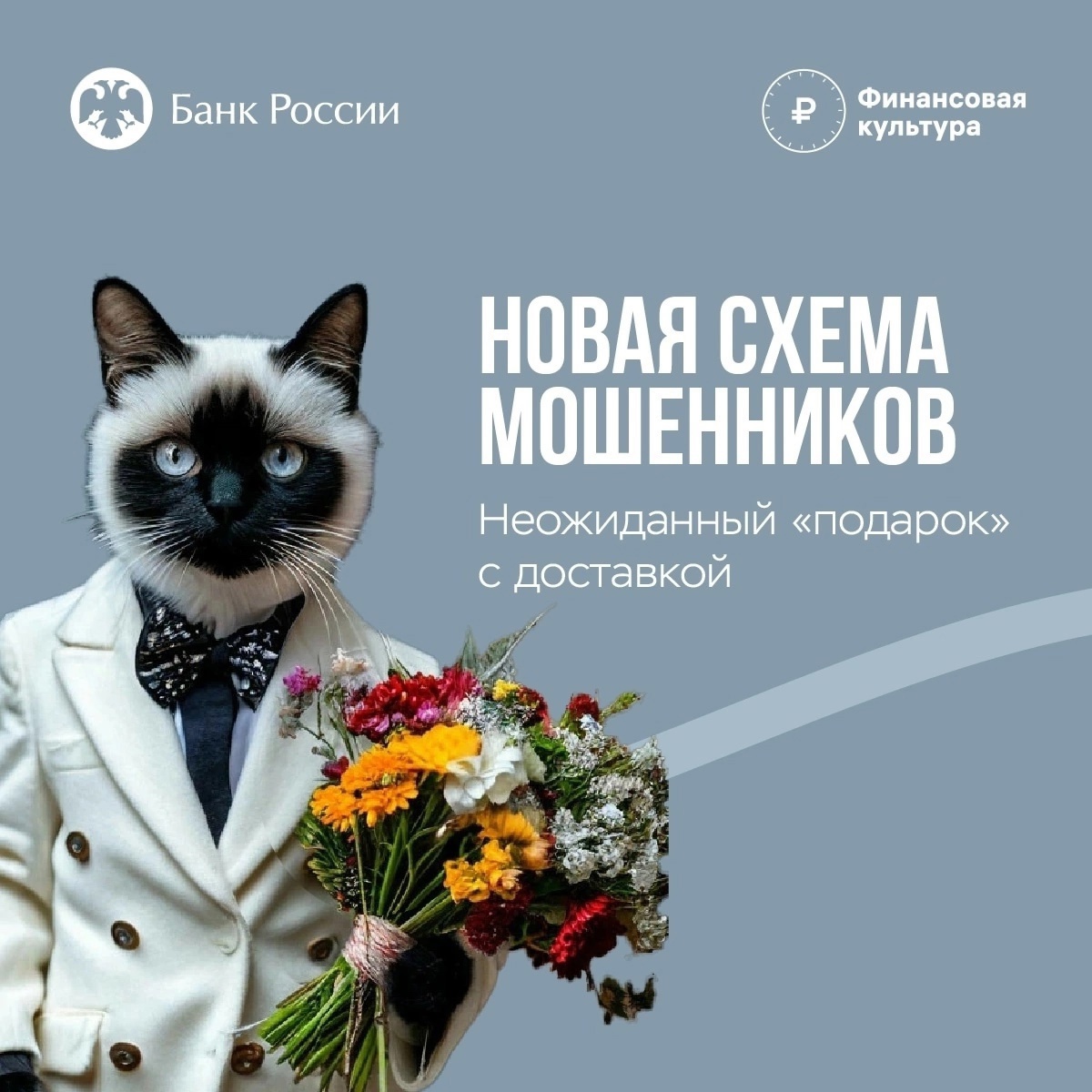 НОВАЯ СХЕМА МОШЕННИЧЕСТВА - ВАМ ПОДАРОК С ДОСТАВКОЙ!