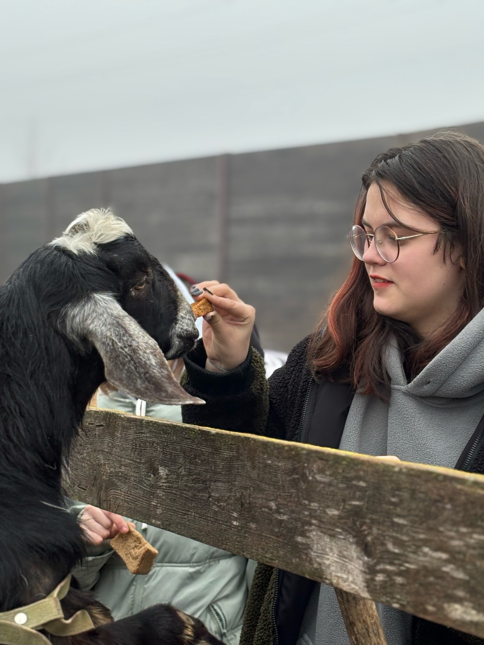 НЕЗАБЫВАЕМЫЙ ДЕНЬ НА ЭКОФЕРМЕ «ДЕРЕВЕНЬКА»