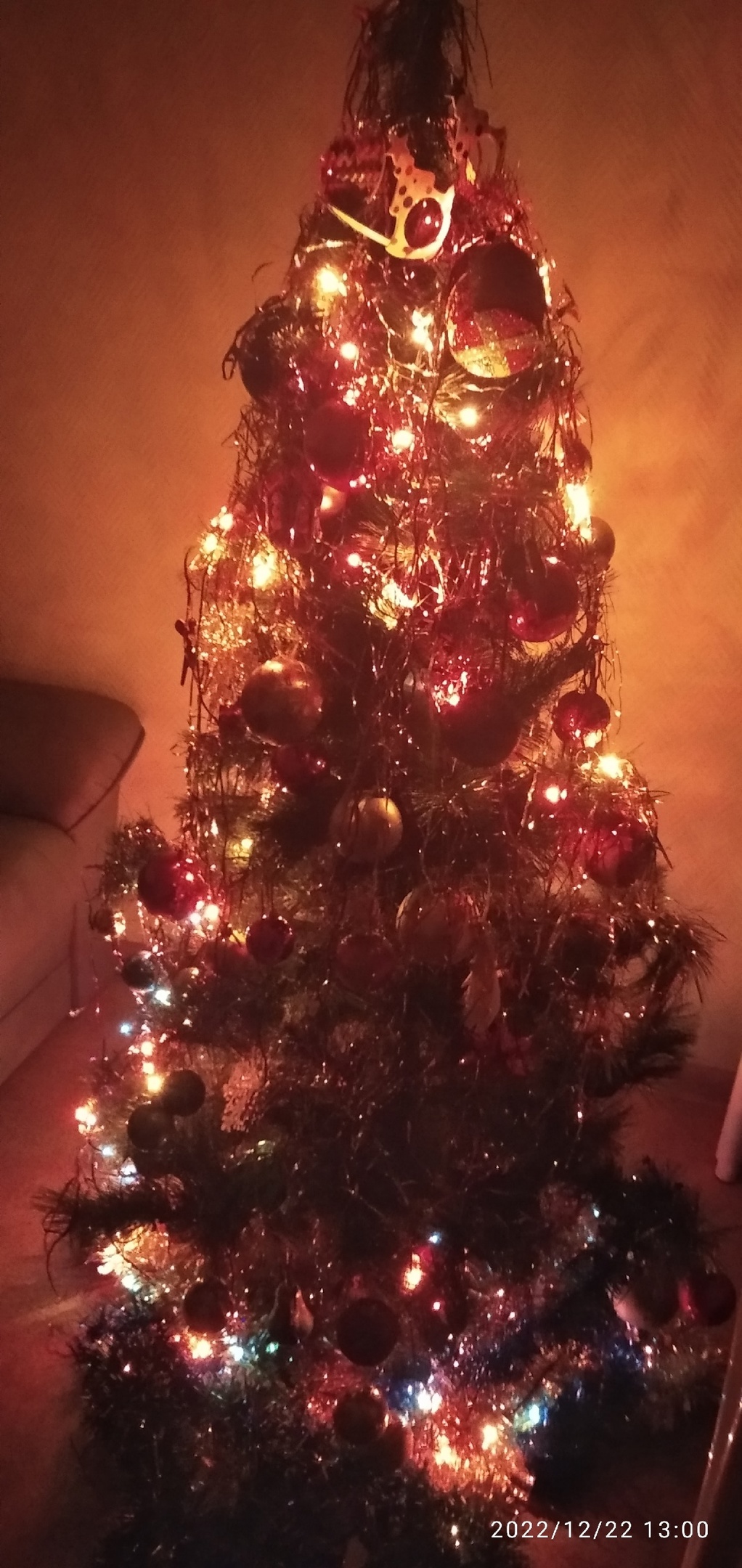 «ПУСТЬ ВО ВСЕХ ДОМАХ ЗАЖИГАЮТСЯ ЁЛКИ  С ЯРКОЙ ВИФЛЕЕМСКОЙ ЗВЕЗДОЙ!» ©