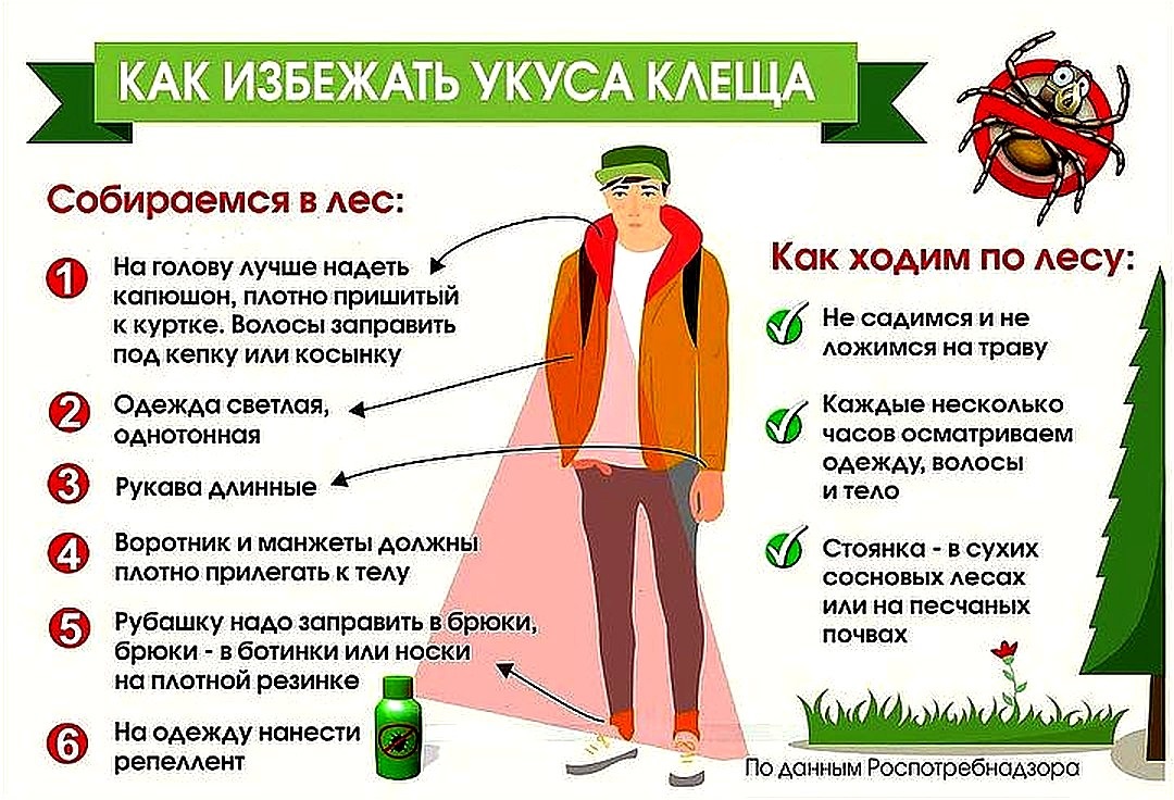 СЕЗОН АКТИВНОСТИ КЛЕЩЕЙ ЕЖЕДНЕВНО ПОПОЛНЯЕТ СТАТИСТИКУ УКУСОВ