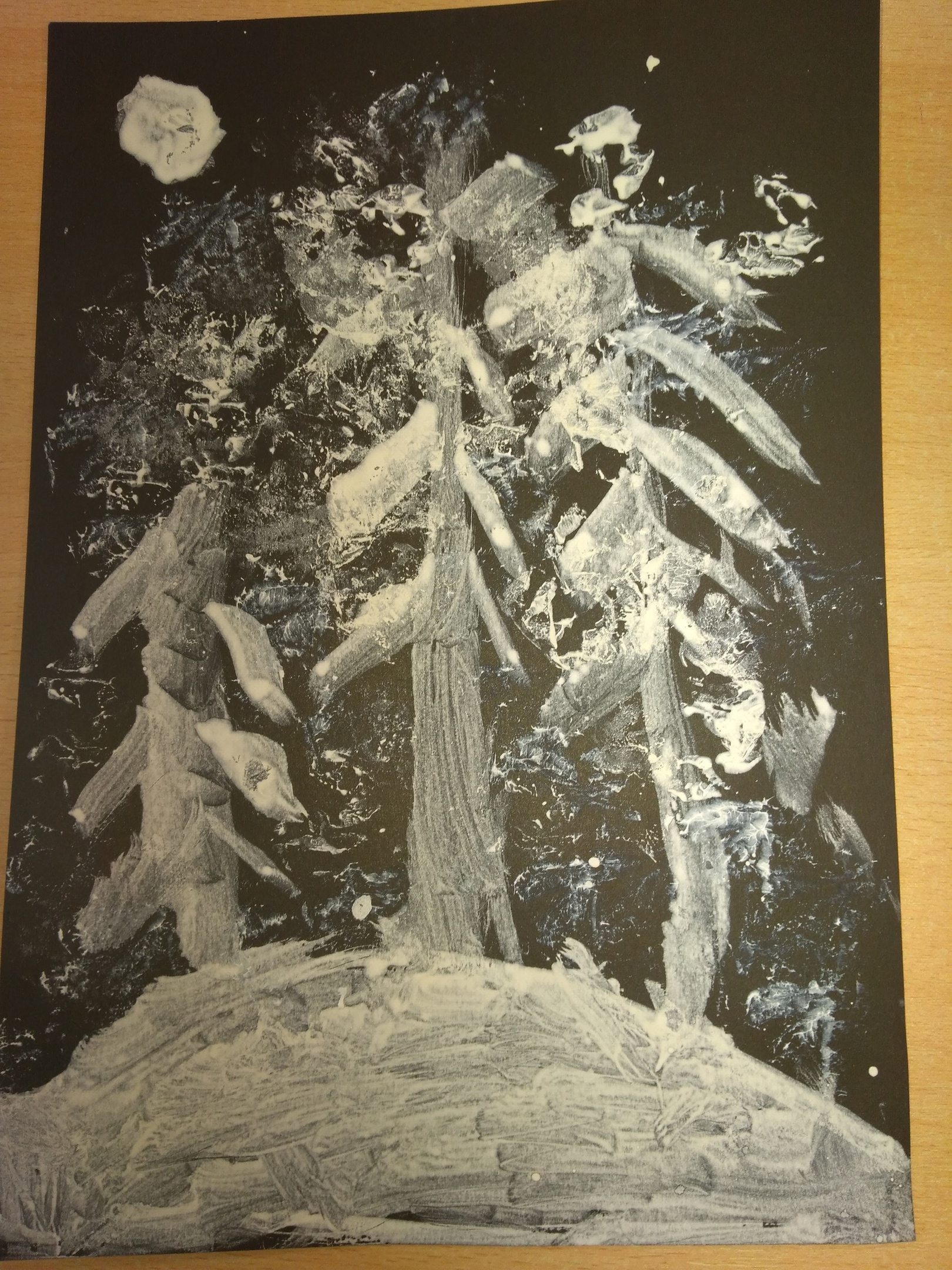 БЕЛАЯ – БЕЛАЯ ЗИМА 